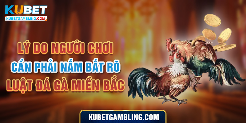 Luật đá gà Miền Bắc - Cách phân định thắng thua trong đá gà 