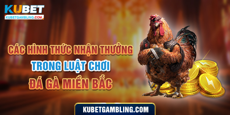 Luật đá gà Miền Bắc - Cách phân định thắng thua trong đá gà 