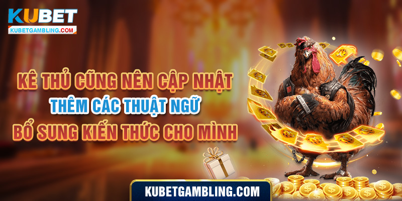 Các Thuật Ngữ Đá Gà Dành Riêng Cho Tân Kê Thủ Mới Nhất 2024