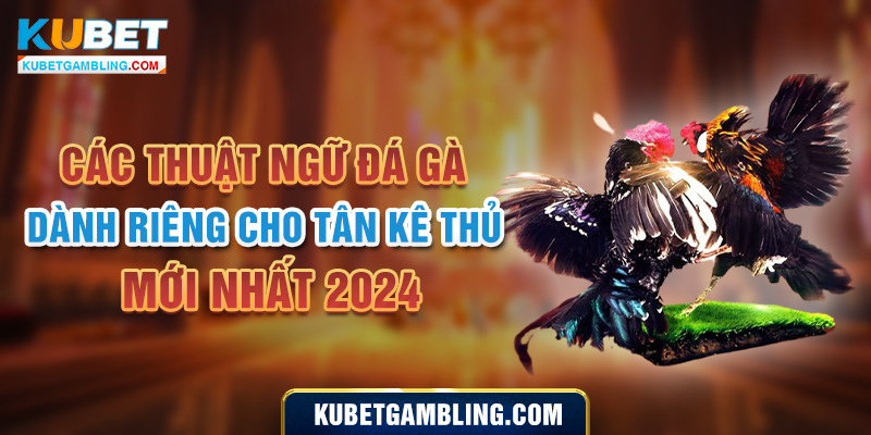 Các Thuật Ngữ Đá Gà Dành Riêng Cho Tân Kê Thủ Mới Nhất 2024