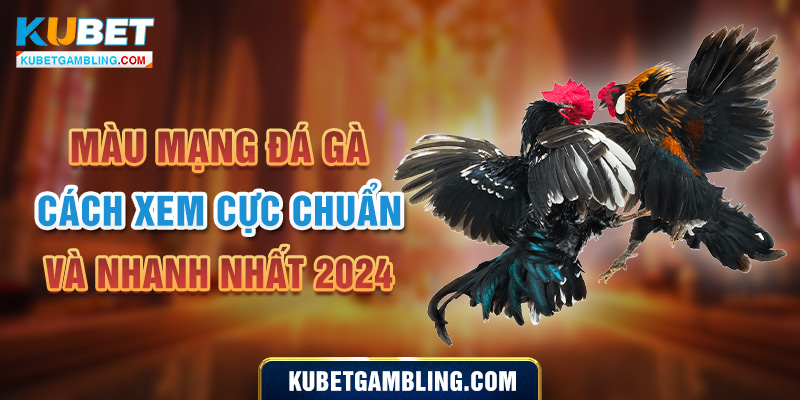 Màu mạng đá gà - Cách xem cực chuẩn và nhanh nhất 2024